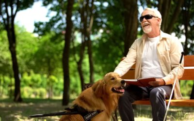 Międzynarodowy Dzień Niewidomych